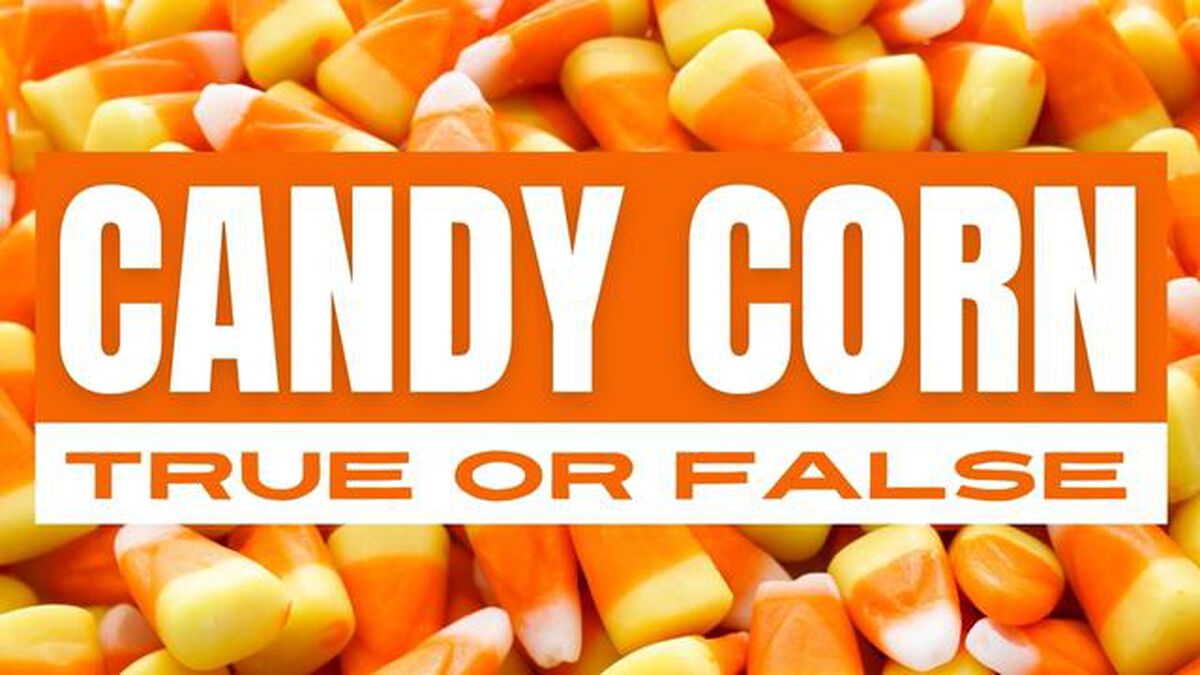 Candy Corn True Or False image number null